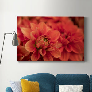 Spring Fire Premium Gallery Wrapped Canvas - Ready to Hang