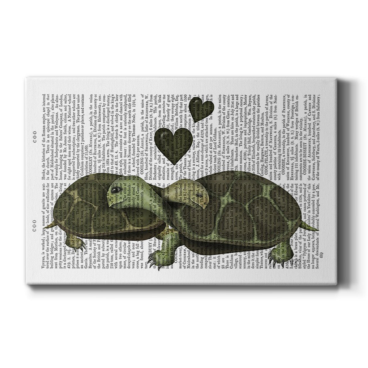 Turtles and Green Hearts
